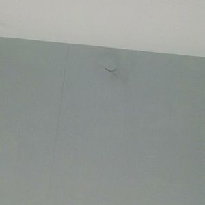 Meet your Posher, Myrtice